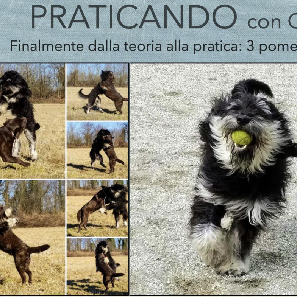 Immagine evento