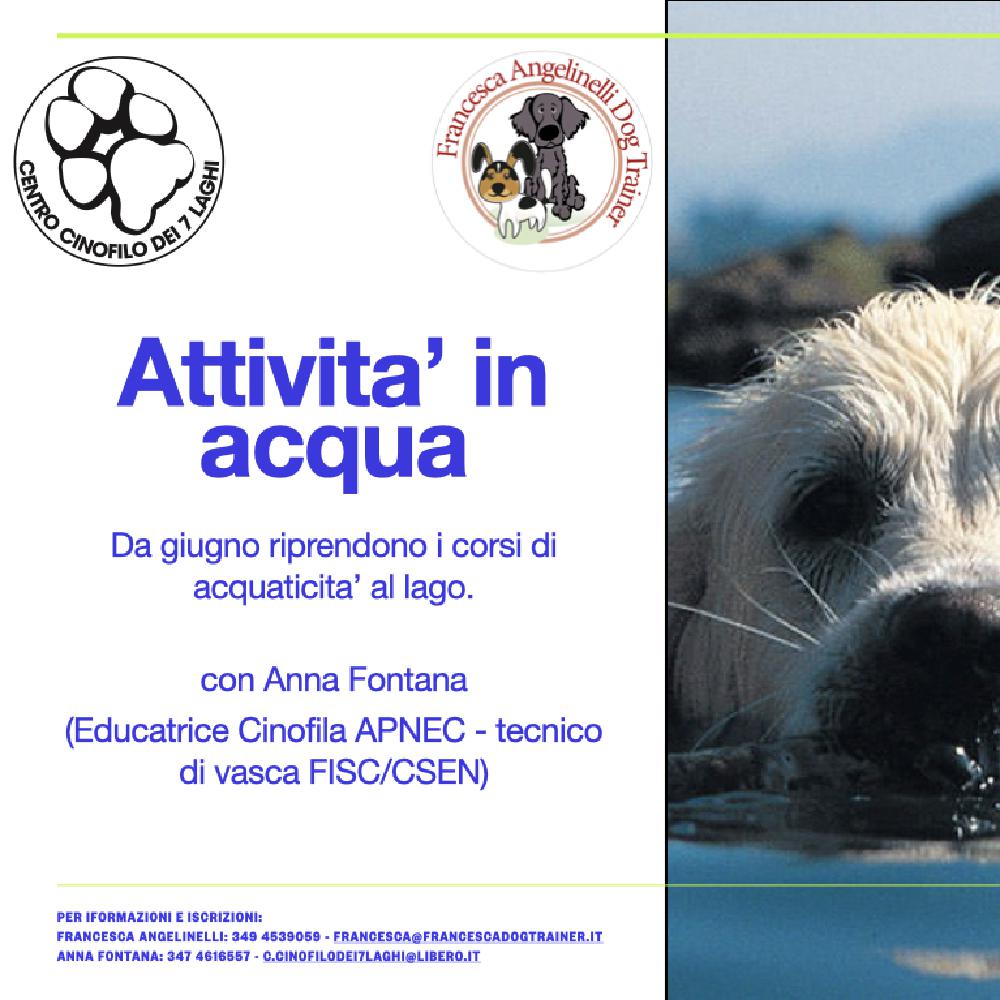 Immagine evento