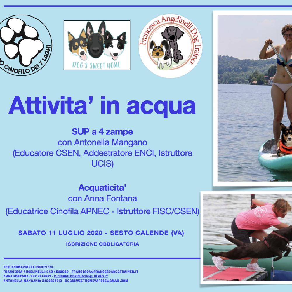 Immagine evento