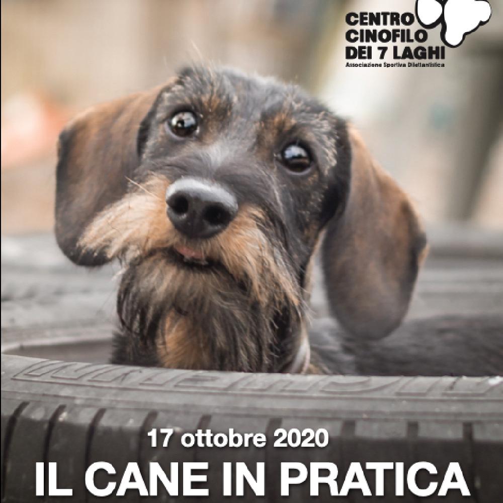 Immagine evento