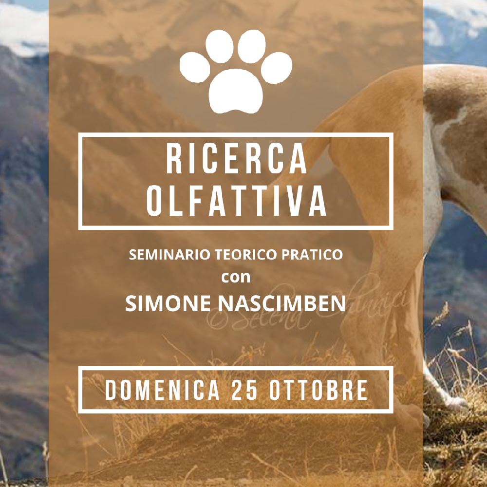 Immagine evento