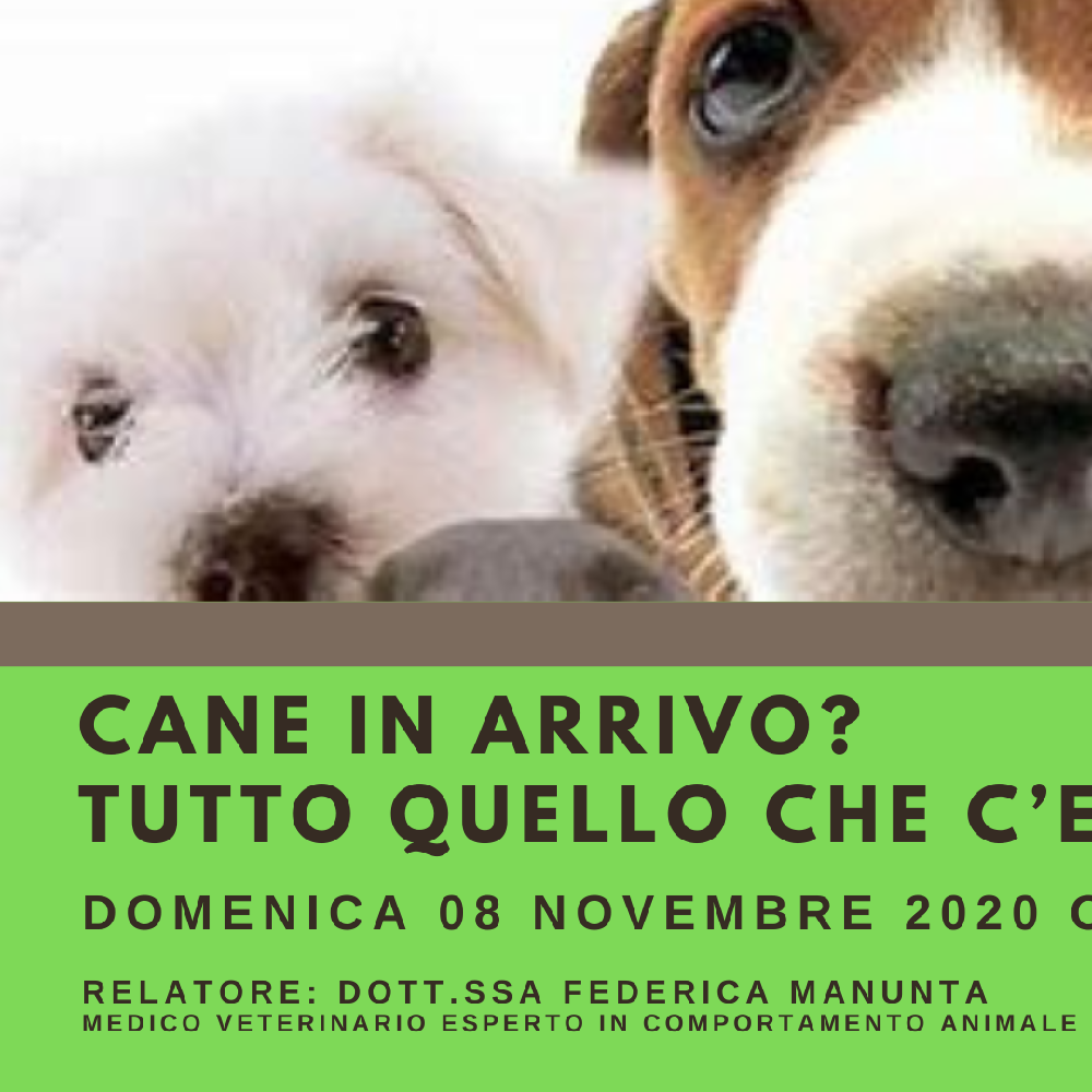 Immagine evento