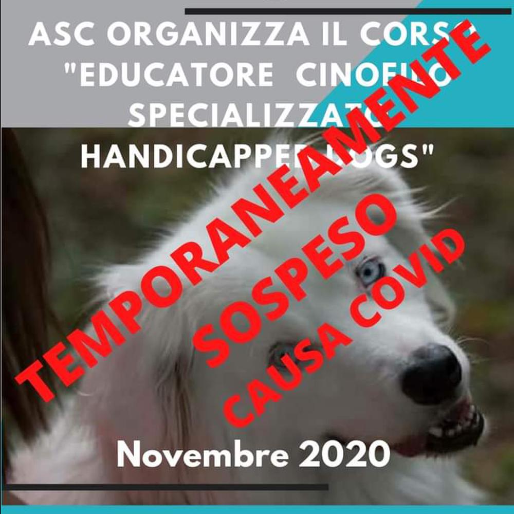Immagine evento