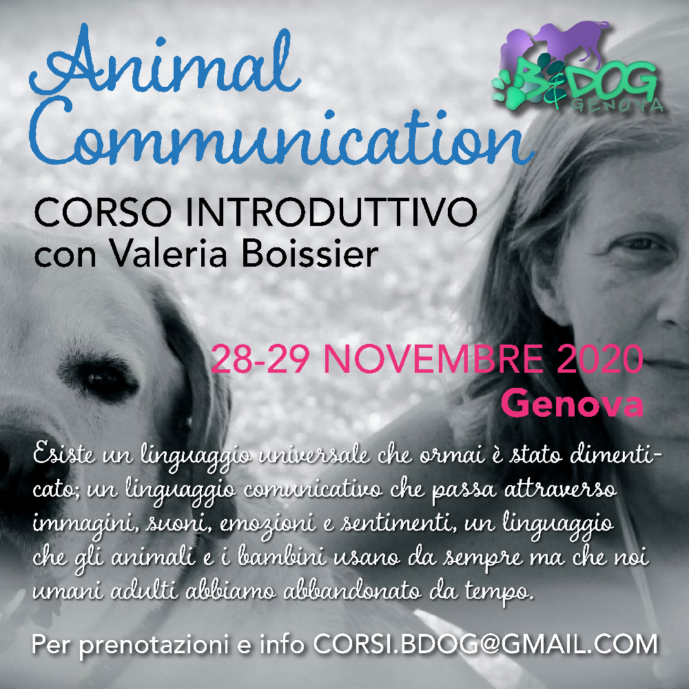 Immagine evento
