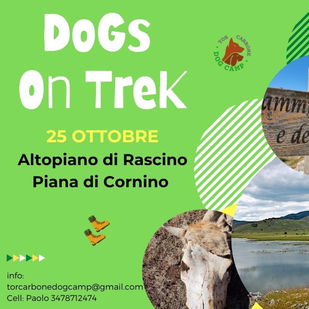Immagine evento