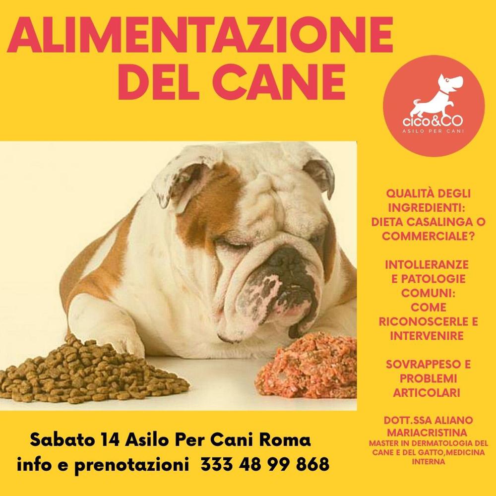 Immagine evento