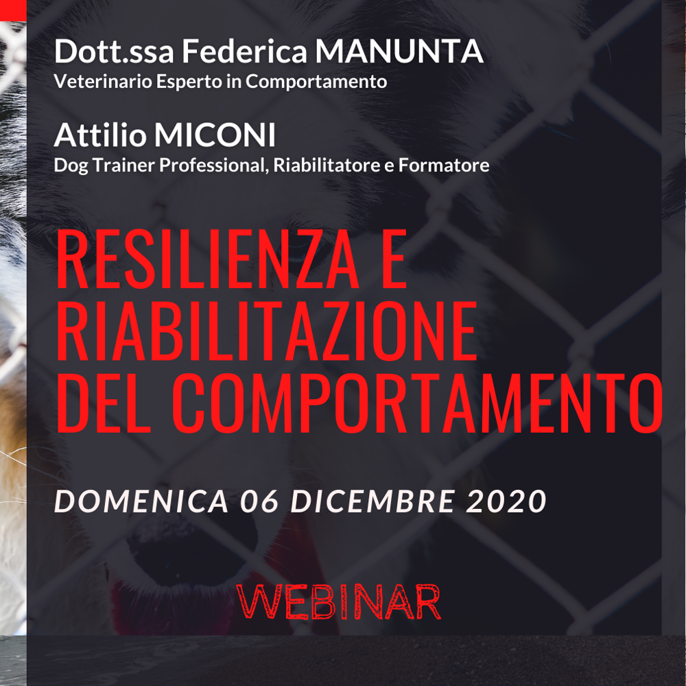 Immagine evento