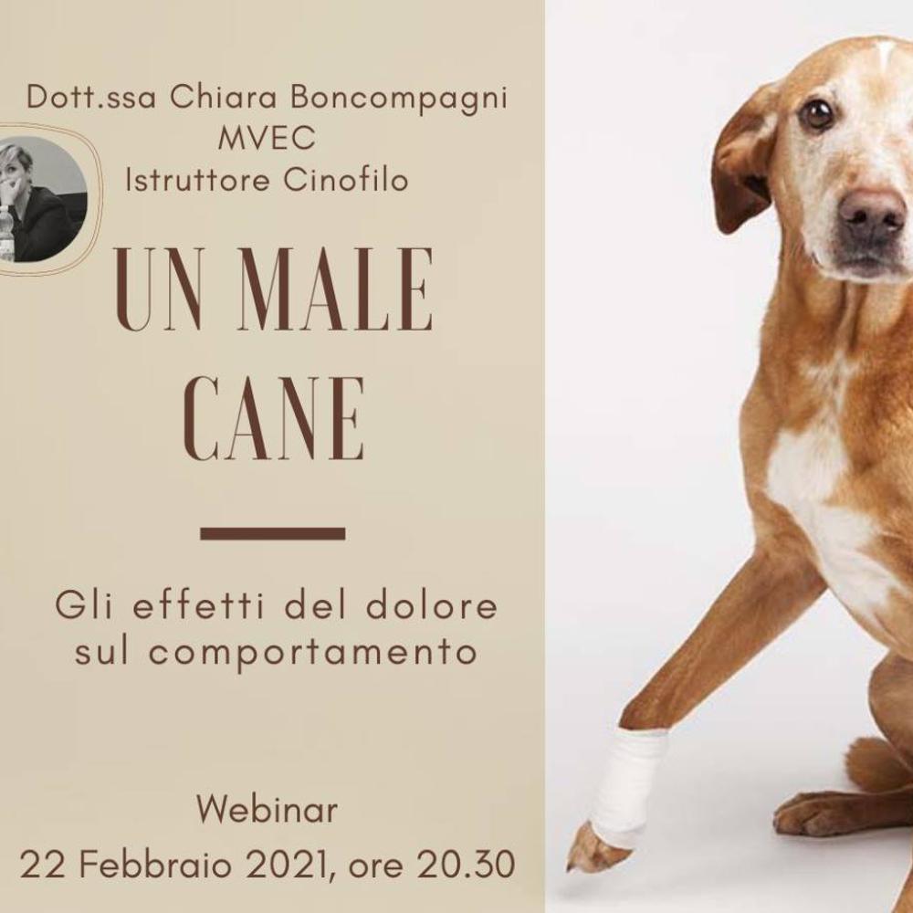 Immagine evento