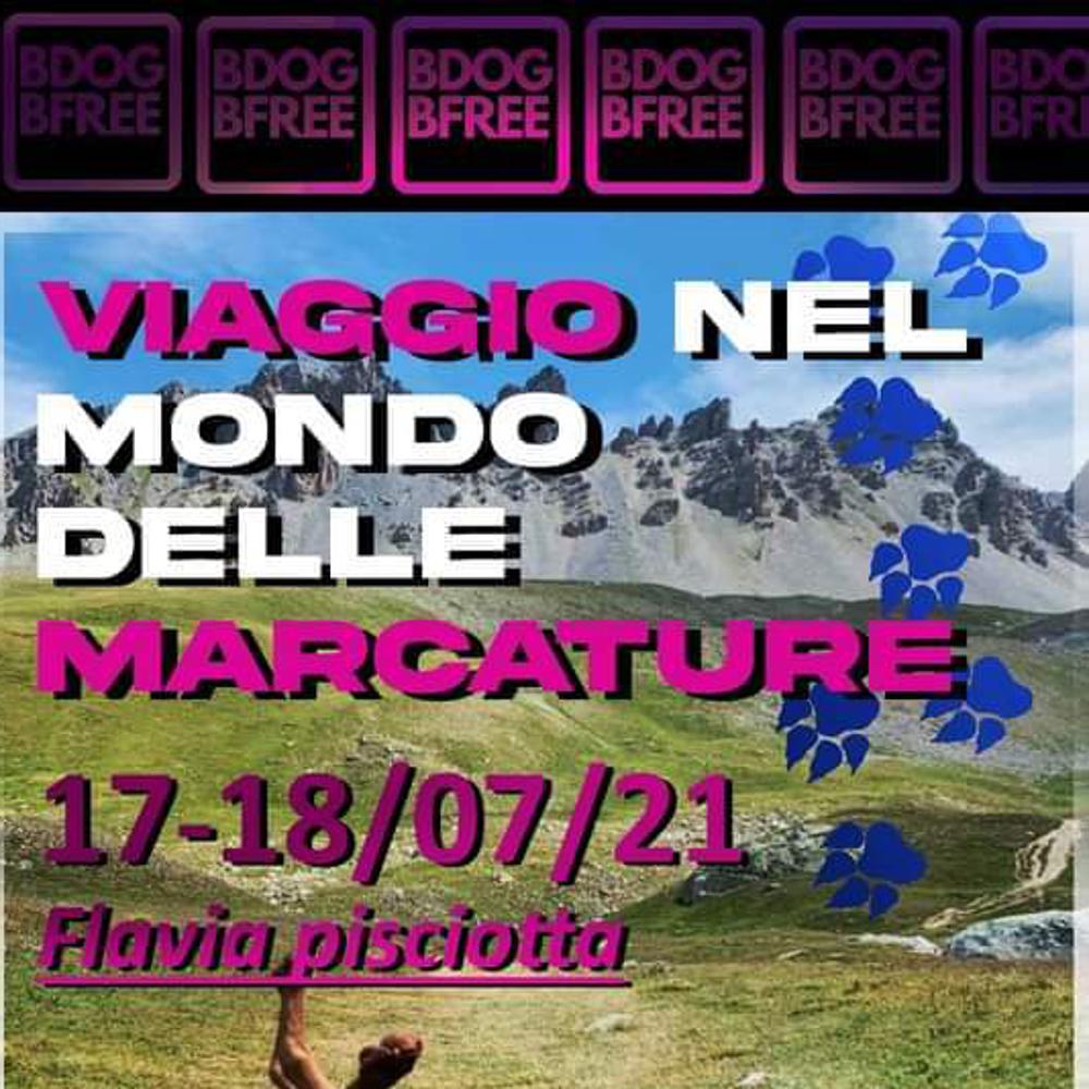 Immagine evento