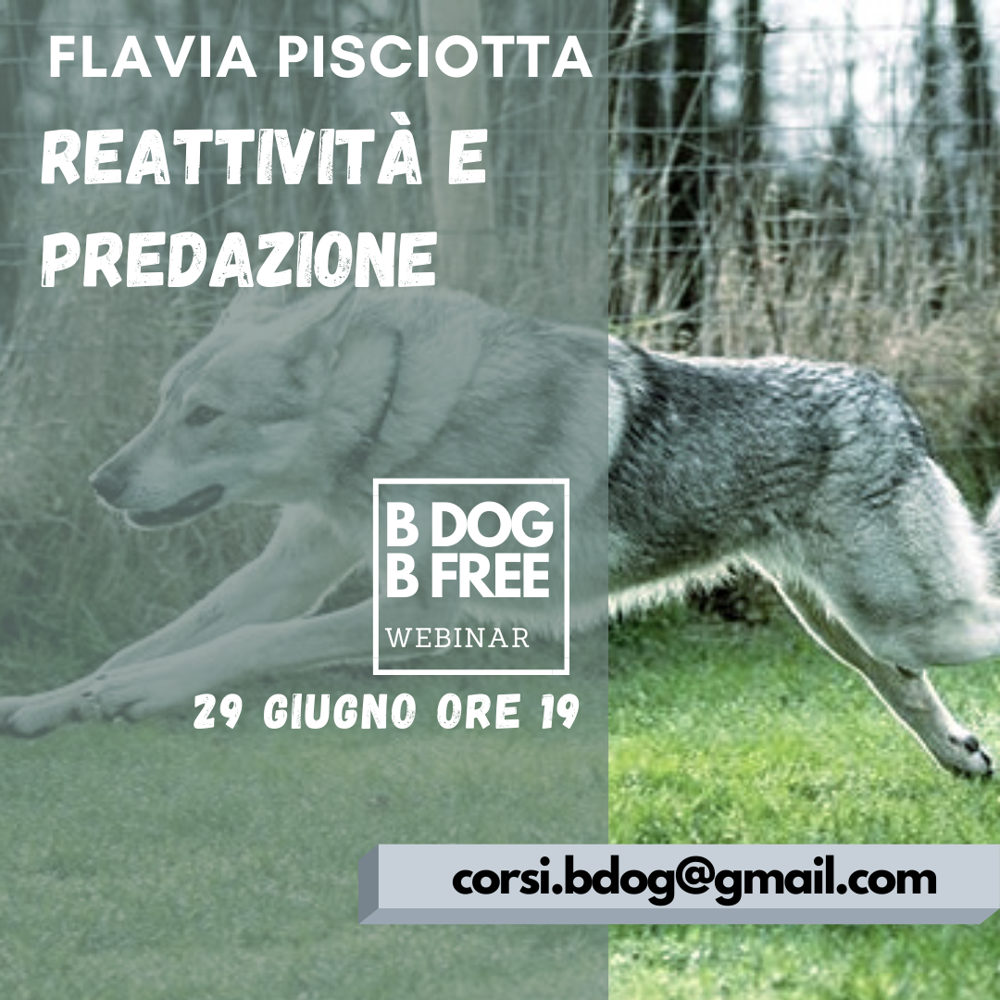 Immagine evento