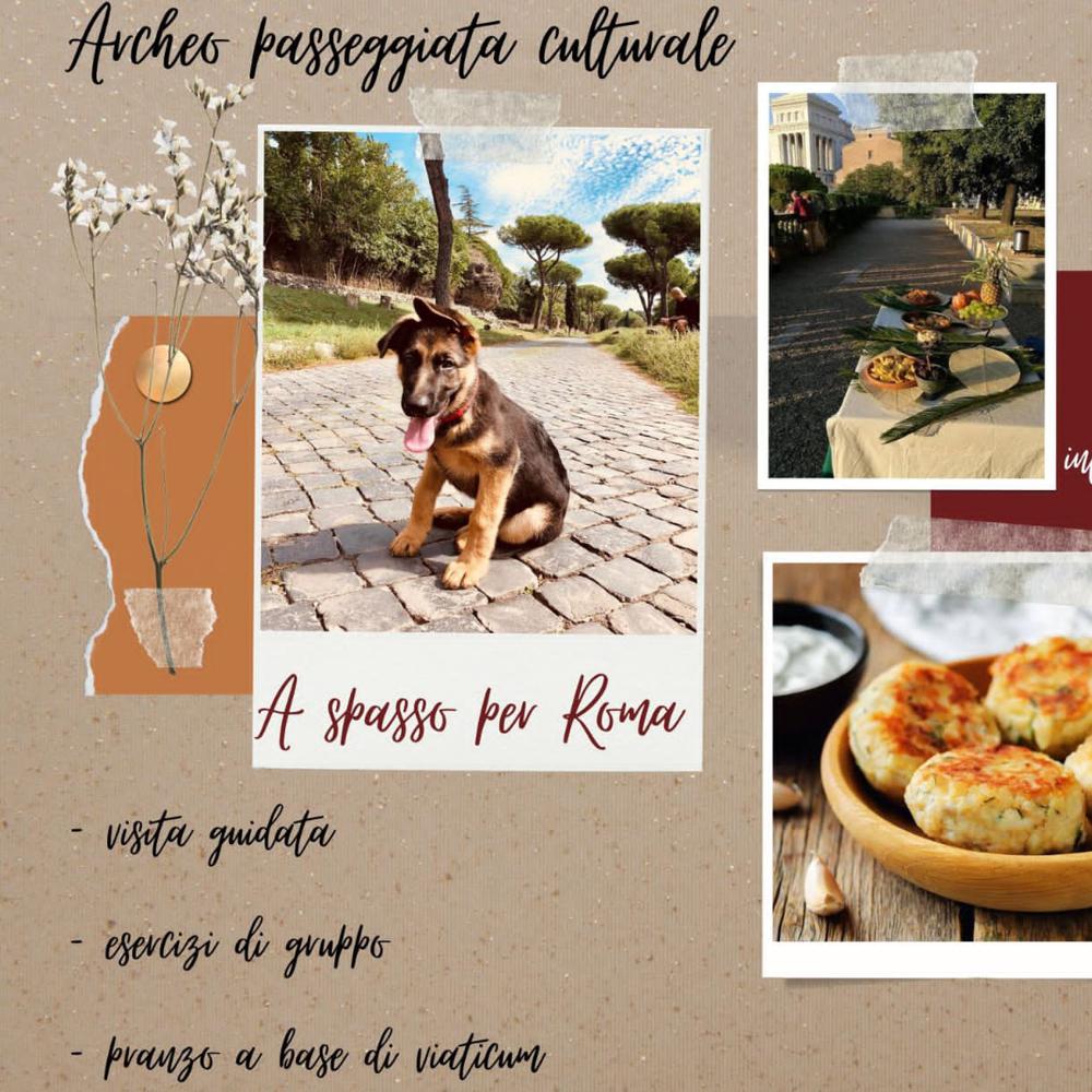 Immagine evento