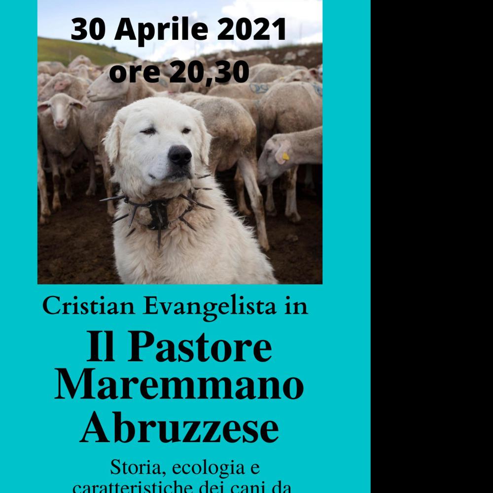 Immagine evento