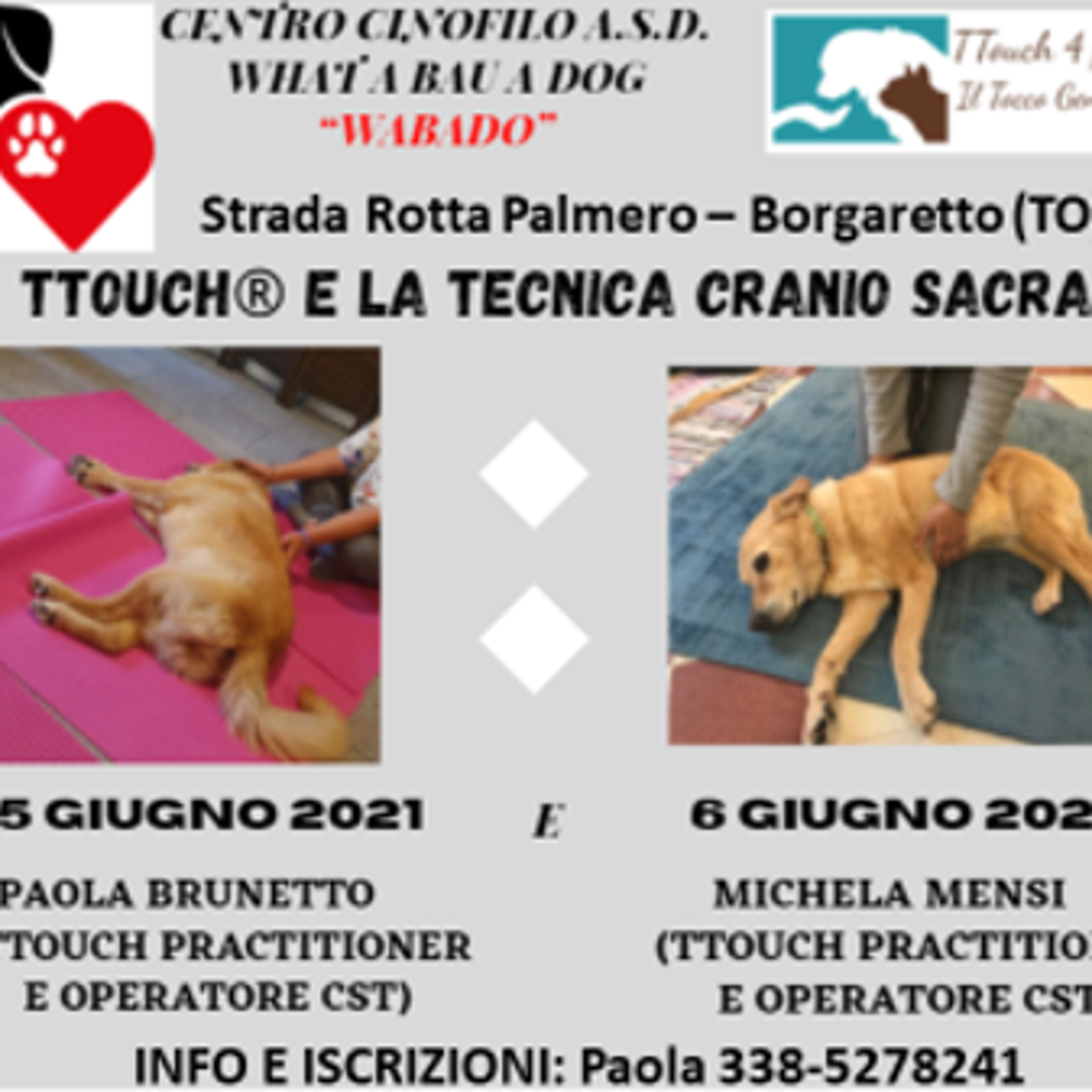 Immagine evento