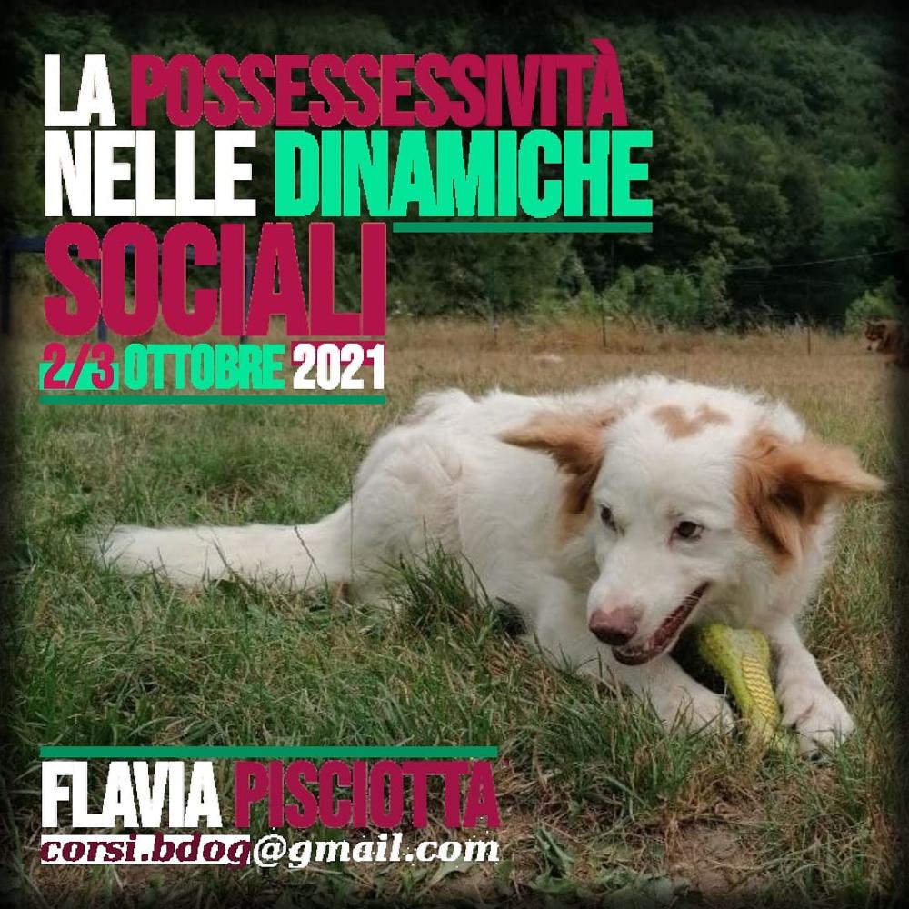 Immagine evento