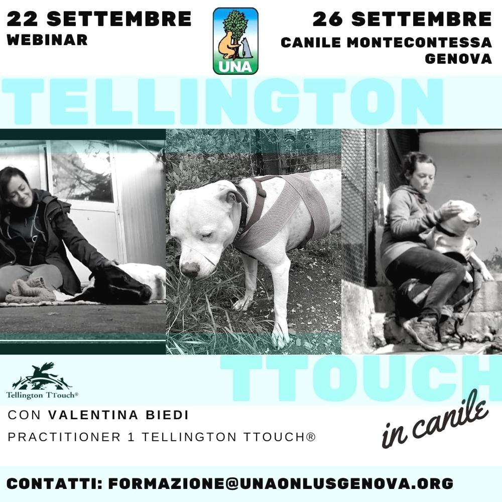 Immagine evento