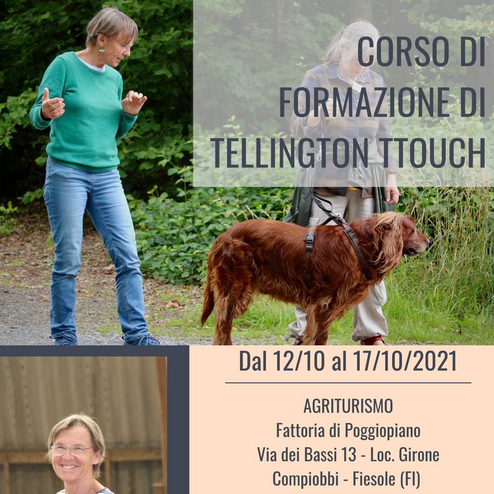 Immagine evento