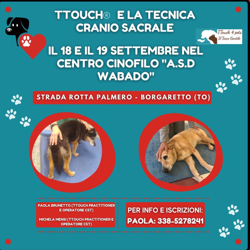 Immagine evento