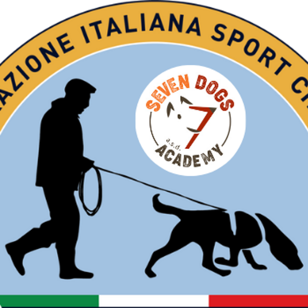 Immagine evento