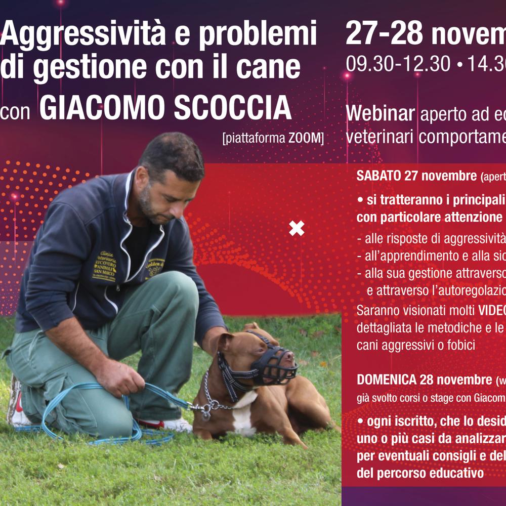 Immagine evento