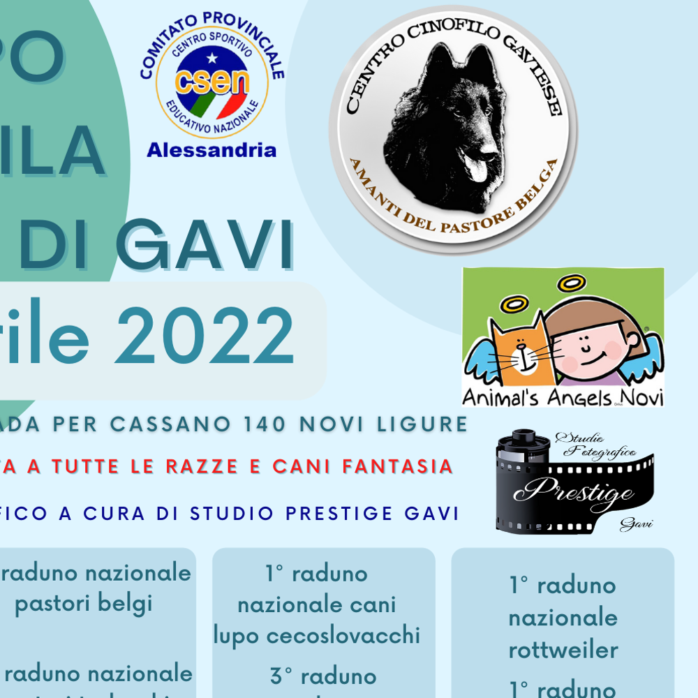 Immagine evento