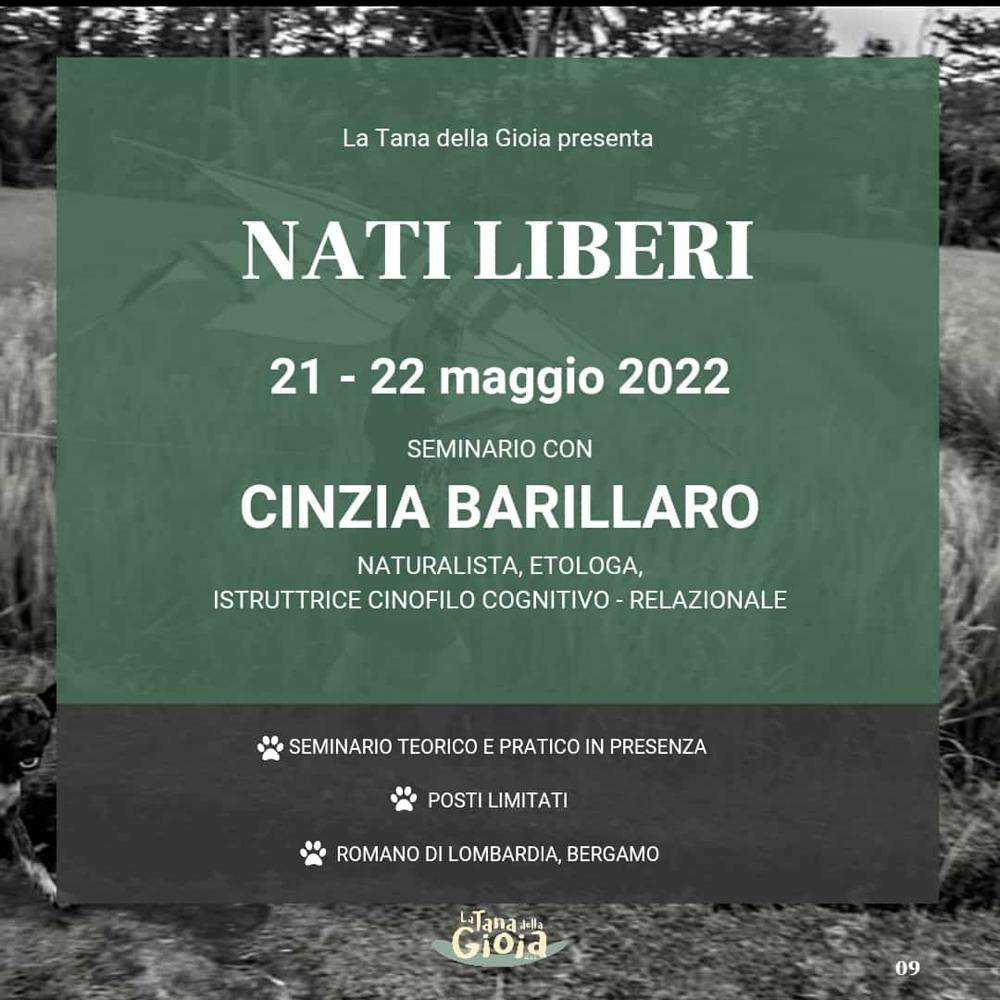 Immagine evento