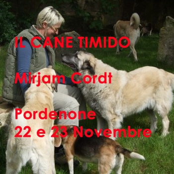 Immagine evento