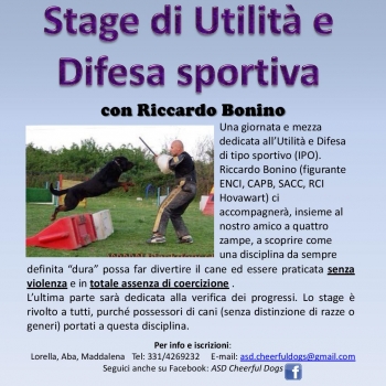Immagine evento