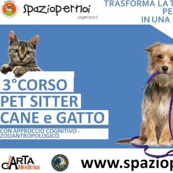 Immagine evento