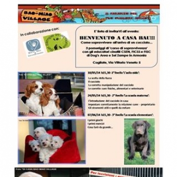 Immagine evento