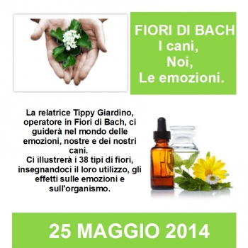 Immagine evento