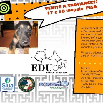 Immagine evento