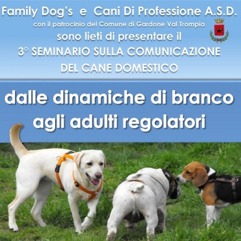Immagine evento