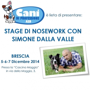 Immagine evento