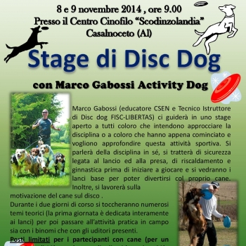 Immagine evento