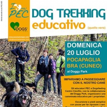 Immagine evento