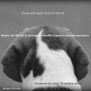 Immagine evento