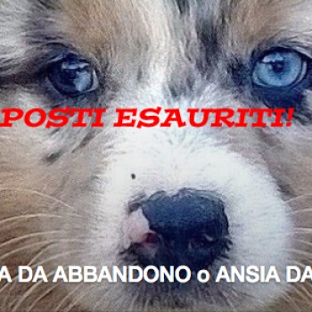 Immagine evento