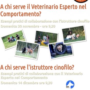 Immagine evento