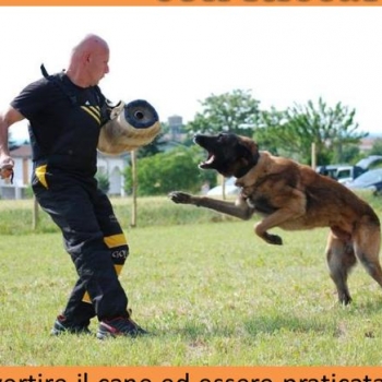 Immagine evento