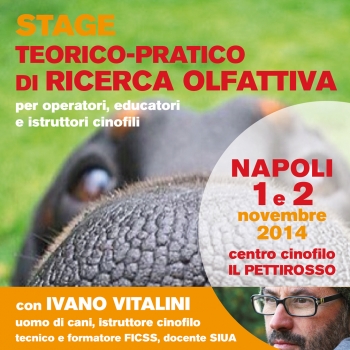 Immagine evento