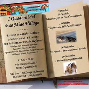 Immagine evento