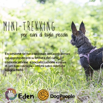 Immagine evento