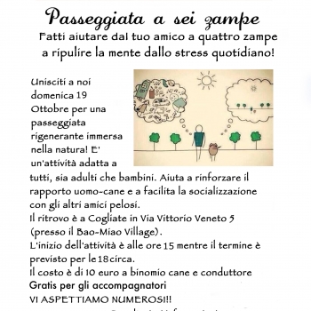 Immagine evento