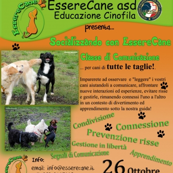 Immagine evento