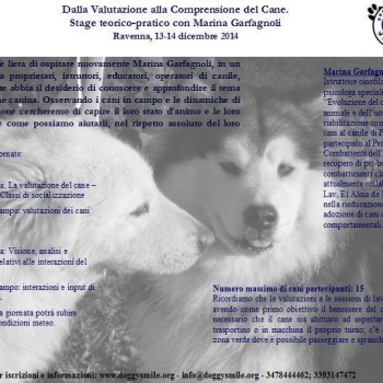 Immagine evento