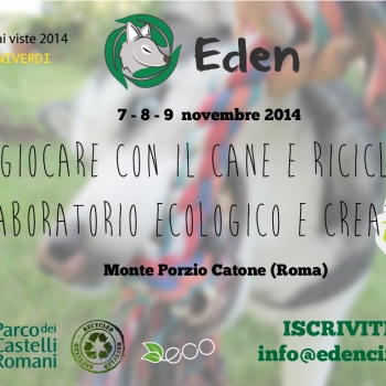Immagine evento