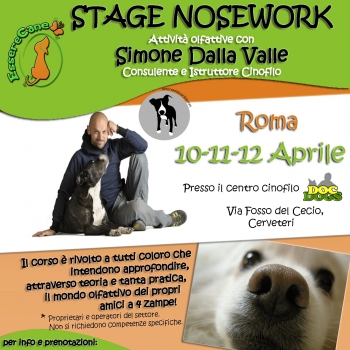 Immagine evento