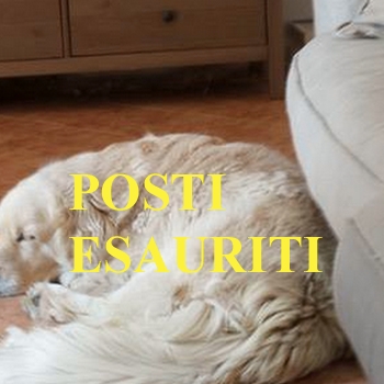 Immagine evento