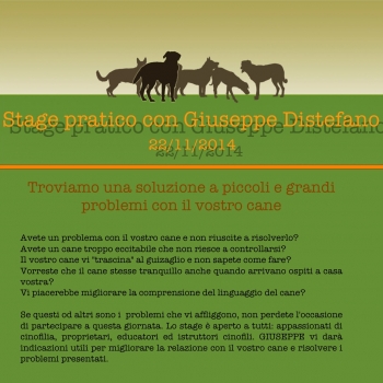 Immagine evento