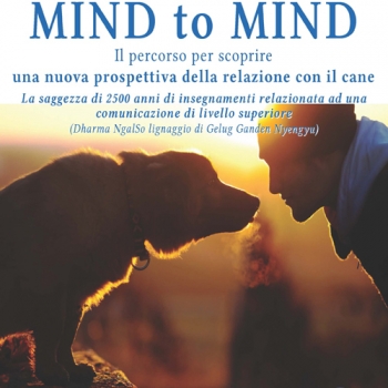 Immagine evento